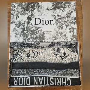 Dior Cashmere And Silk Blanket Scarf
